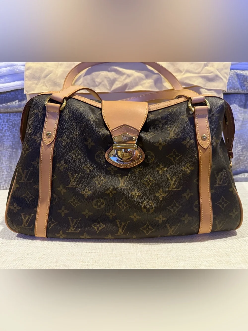 Louis Vuitton this bag